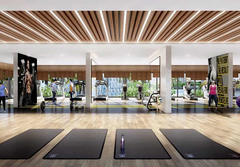 Gymnasium